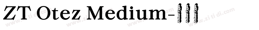 ZT Otez Medium字体转换
